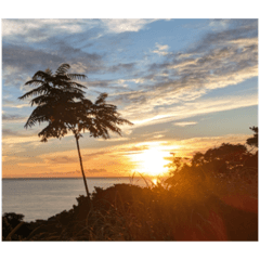 Dachi_20251207180627