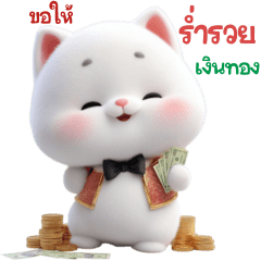 โนวา แมวขาว อวยพร ทุกเทศกาล 2_77