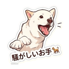 MAX86_20251207205723