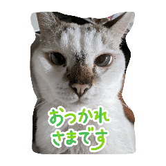 SUUMO_20251207210545