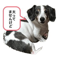 kishiko_20251207210640