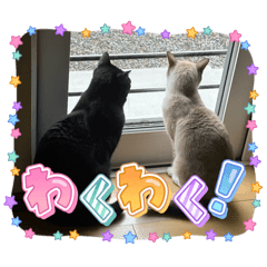 itigo_20251207210916