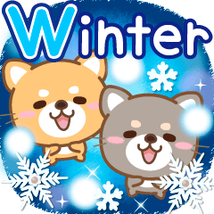 Shiba dog, Popup large winter english