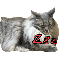 Natsumi_20251206004651