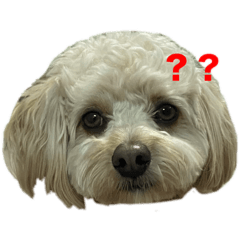 ROYROYROYROYROYROYROYROYROY