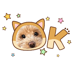 Choco's stickers made in MI