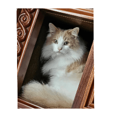 sakura_20251207195918