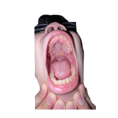 papgajg_20251207204038