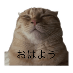 Tuyoshy_20251207223325