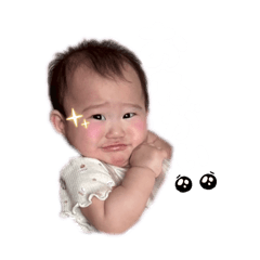 sakura_20251207234441