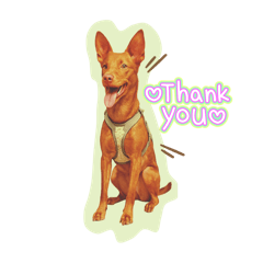 大家好我是阿法，這是我的日常用語