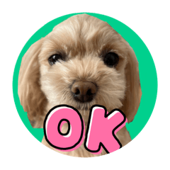 Smile_20251207204630