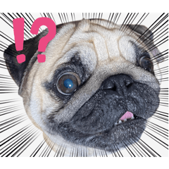 kazumi_20251207204937