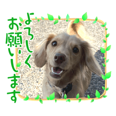 mizuki_20251207212011