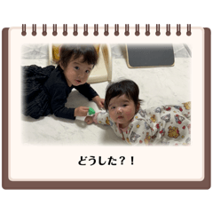 SEIRA_20251207212701