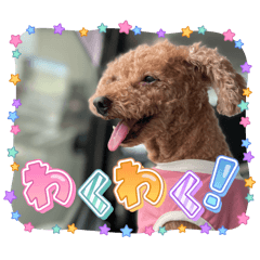 NATSU_20251207212545