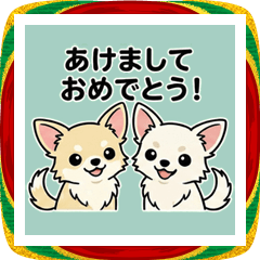 チワワきょうだい　あけおめ