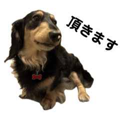 KTETSU_20251206140436