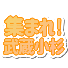 Musashikosugi LIFE v3