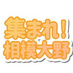 相模大野生活３