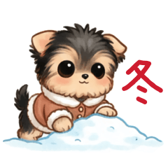 Yorkshire Terrier in winter