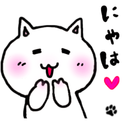 The white cat Omochi-chan