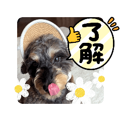 minako_20251207224805