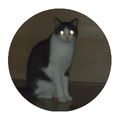 ツモポンカン観察スタンプ（改）