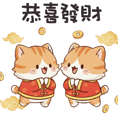 lovely baby cat cat 2