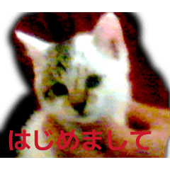 SATOSHI_20251208000429