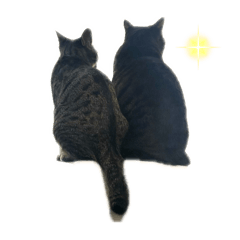 Yamada_20251207002301