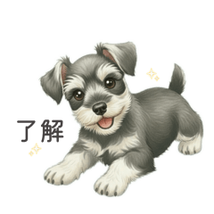 ずっと使える♪シュナウザー 日常会話