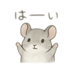 NAOCOCO_20251207020143