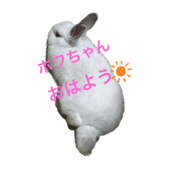 MASAKiChi_20251208064850