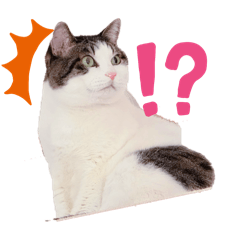 mofumofudeitekuretearigato