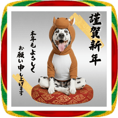 午きぐるみダルメシアン＊お正月BIG