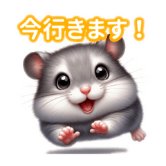 Super Cute Chinese Hamster