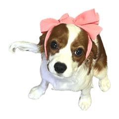 Kazuko_20251205081430