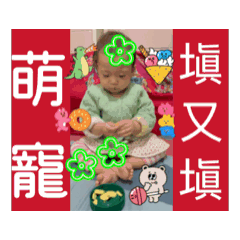 萌寵～塡又塡～甜湯圓生活日常大小事。