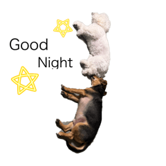 Mappy_20251207211207