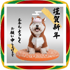 DOG  GOOD  Sticker169