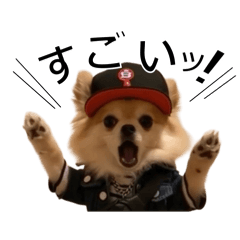 mi0-e-0_20251208032838