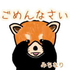 Michinari's lesser panda