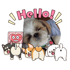 tomopapa_20251208055331