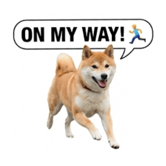 machadoman_20251208083700