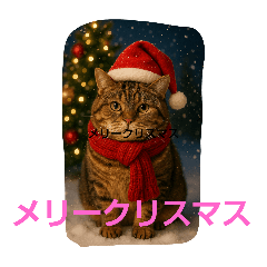 tattanmaicyan_20251208084133