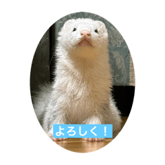 WowWow_20251208135638