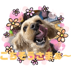 Annie_20251208141039