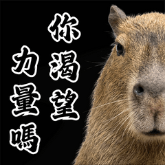 【靈魂拷問】水豚君的渴望：你渴望力量嗎？