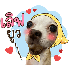 ปังปอนจิ๋วแต่แจ๋ว